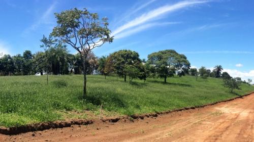 Imagem Arvoredo-Tripuí-lote-terreno-em-Ouro-Preto-14.jpg