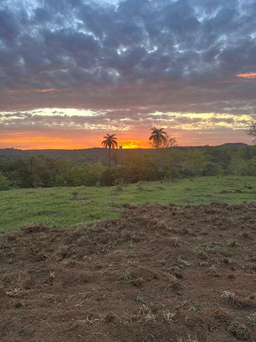 Imagem IMAGEM VILLA NATURA .jpeg