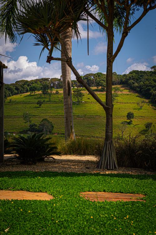 Imagem Galeria - Haras do Passo