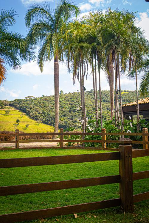 Imagem Galeria - Haras do Passo