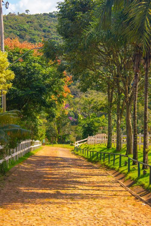 Imagem Galeria - Haras do Passo