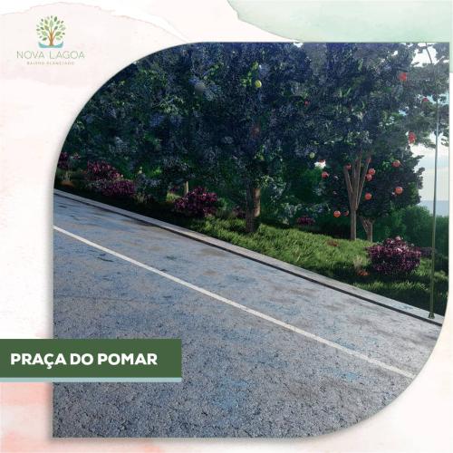 Imagem Lote-à-venda-Nova-Lagoa-18