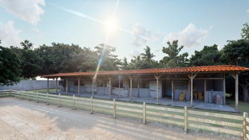 Imagem Galeria - Lago dos Sonhos