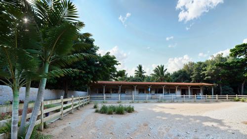 Imagem Galeria - Lago dos Sonhos