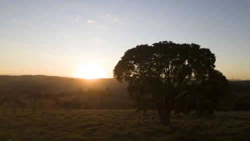 Imagem Galeria - Mirantes Fazenda