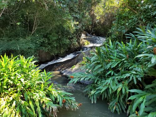 Imagem Galeria - Mirantes Fazenda